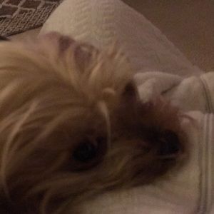 Meet your Posher, Marilyn